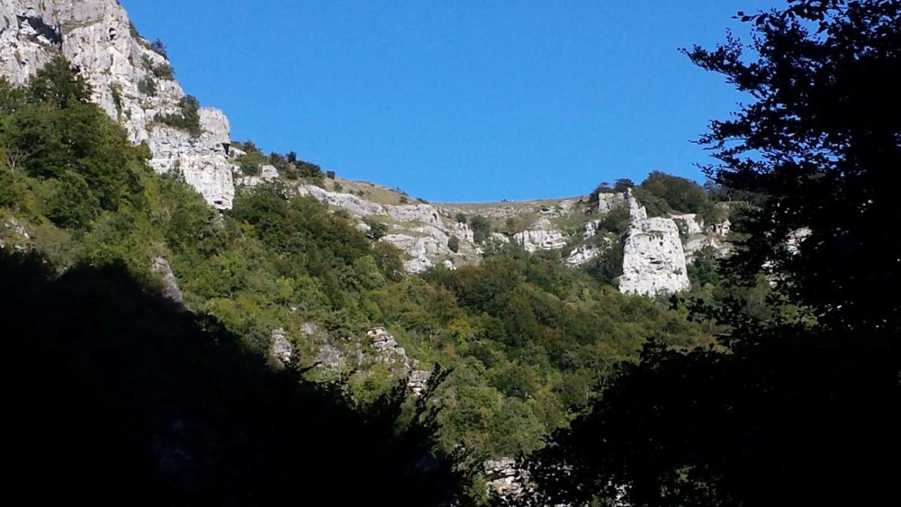 Olazagutía Apartamentos Rurales Imaz Etxea - Urbasa חדר תמונה