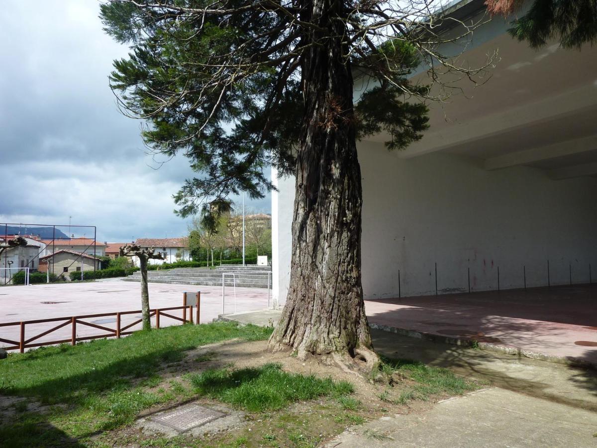 Olazagutía Apartamentos Rurales Imaz Etxea - Urbasa חדר תמונה